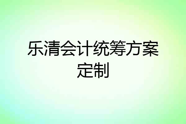 乐清会计统筹方案定制