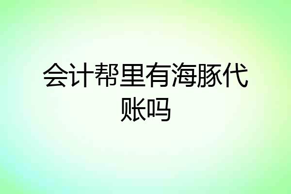 会计帮里有海豚代账吗