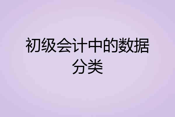 初级会计中的数据分类