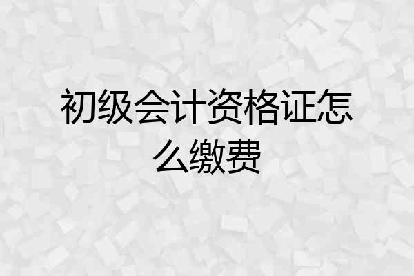 初级会计资格证怎么缴费