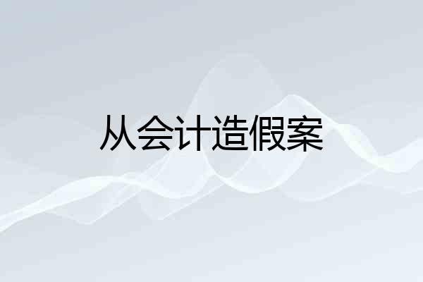 从会计造假案
