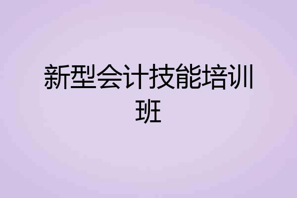 新型会计技能培训班