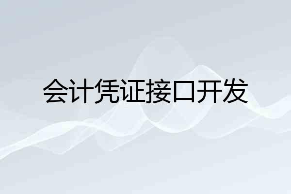 会计凭证接口开发