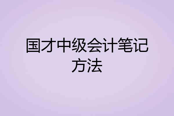 国才中级会计笔记方法