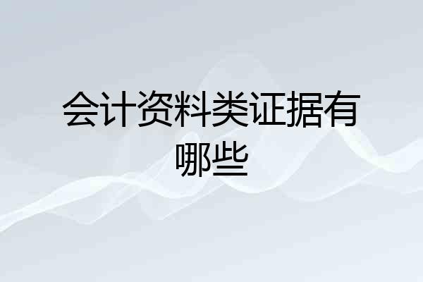 会计资料类证据有哪些