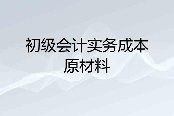 初级会计实务成本原材料