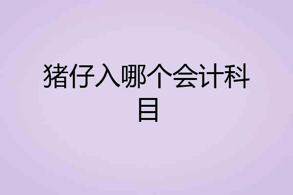 猪仔入哪个会计科目