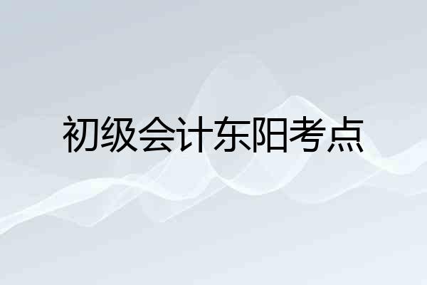 初级会计东阳考点