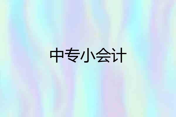 中专小会计