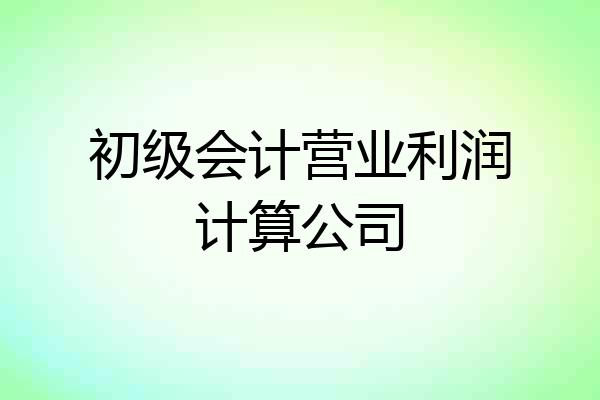 初级会计营业利润计算公司