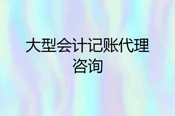 大型会计记账代理咨询