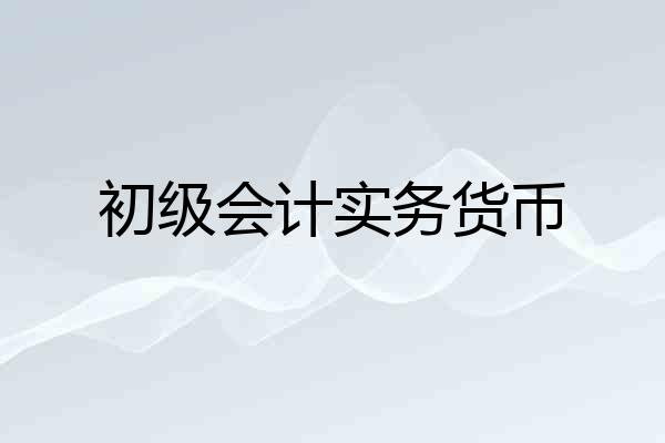初级会计实务货币