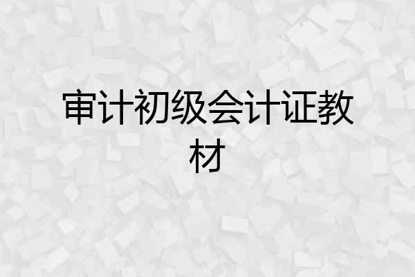 审计初级会计证教材