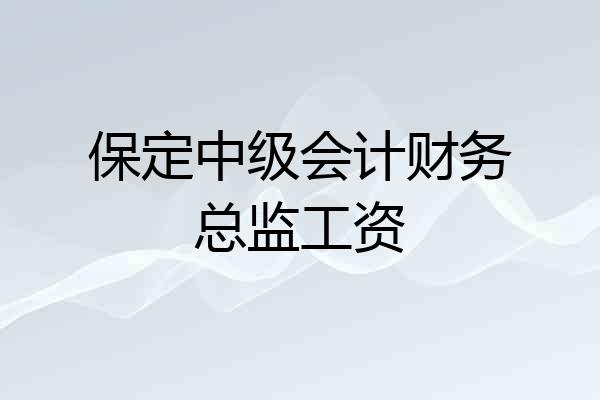 保定中级会计财务总监工资