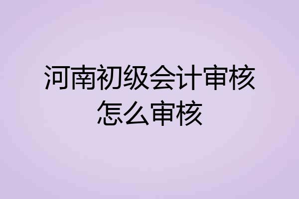 河南初级会计审核怎么审核