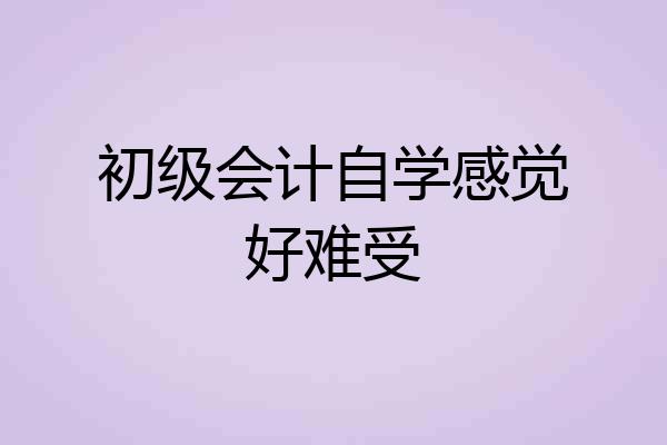 初级会计自学感觉好难受