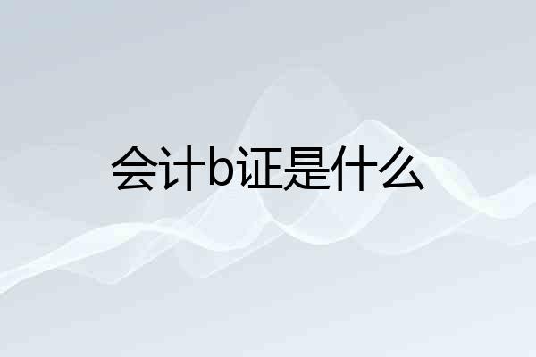 会计b证是什么