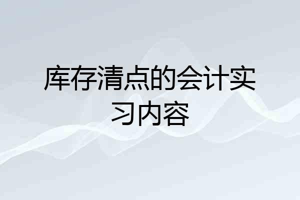 库存清点的会计实习内容