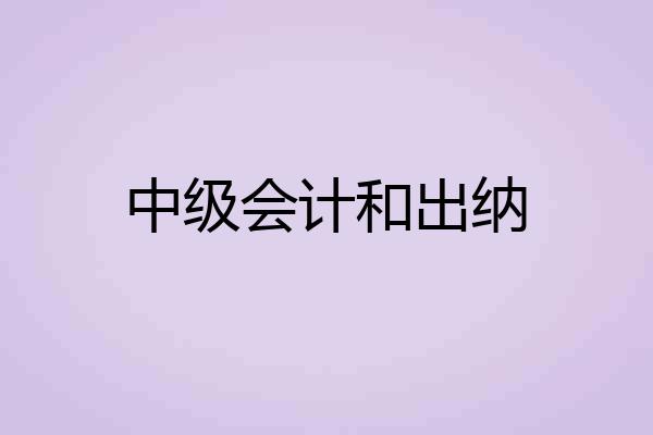 中级会计和出纳