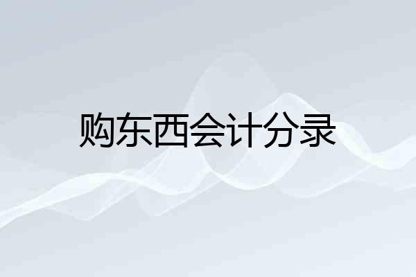 购东西会计分录