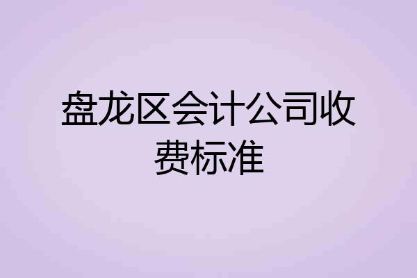 盘龙区会计公司收费标准