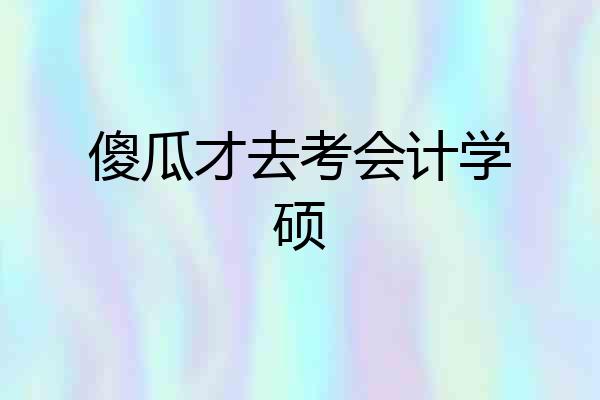 傻瓜才去考会计学硕