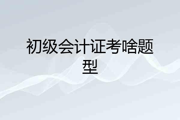 初级会计证考啥题型