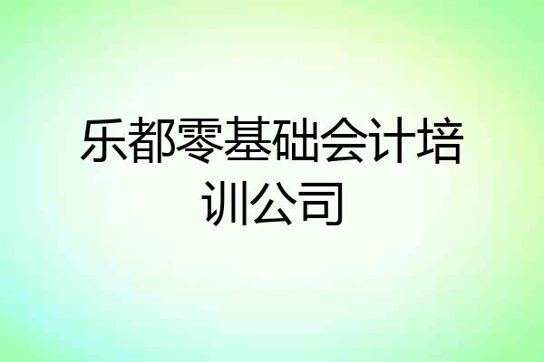 乐都零基础会计培训公司