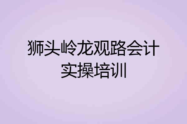 狮头岭龙观路会计实操培训