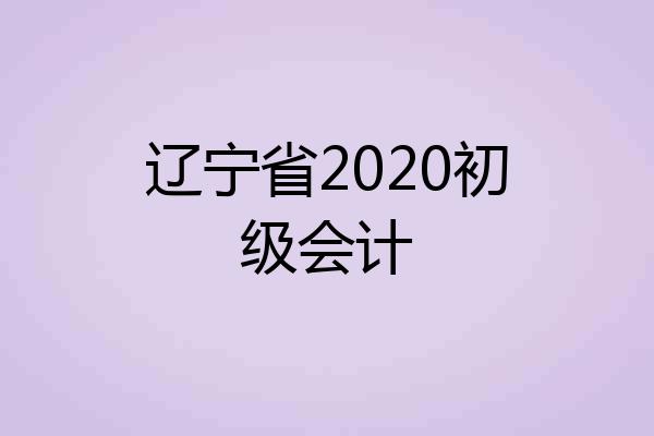 辽宁省2020初级会计