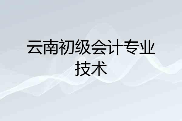 云南初级会计专业技术