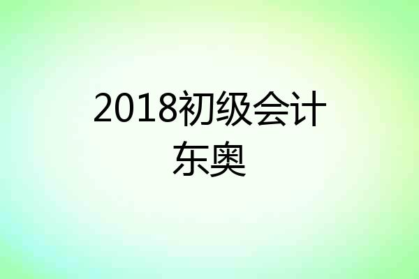 2018初级会计东奥