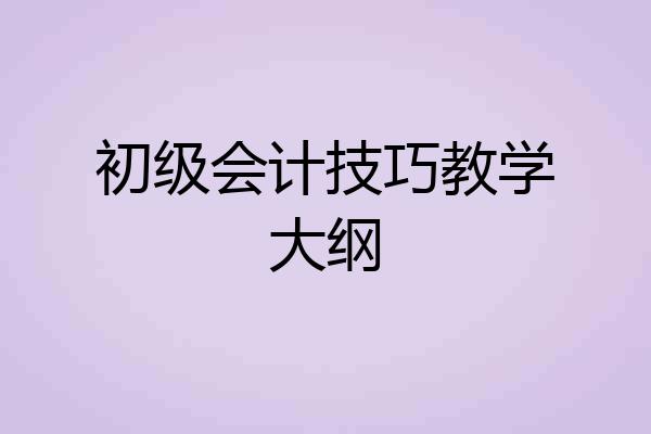 初级会计技巧教学大纲