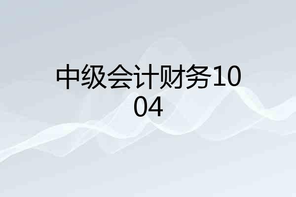 中级会计财务1004