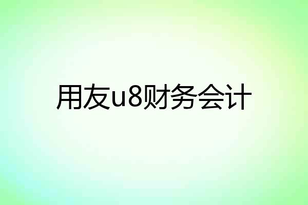 用友u8财务会计