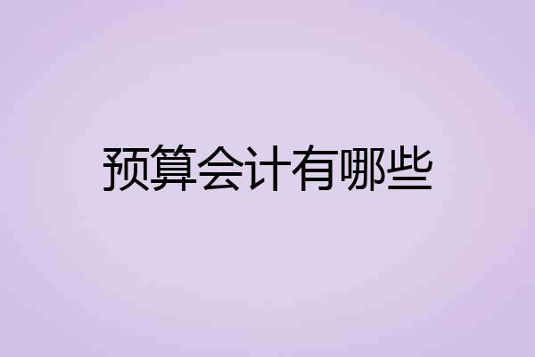 预算会计有哪些