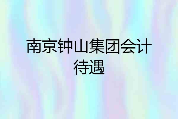 南京钟山集团会计待遇