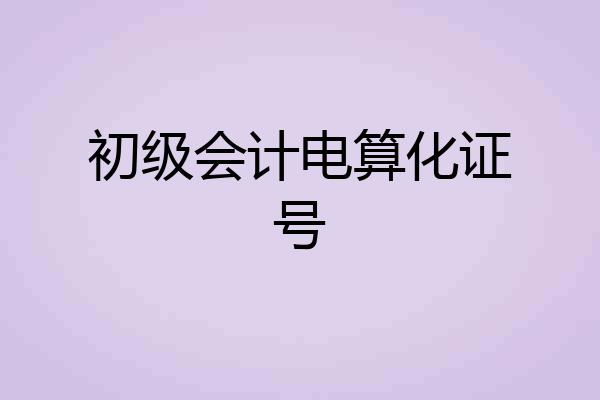 初级会计电算化证号