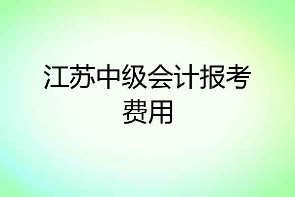 江苏中级会计报考费用