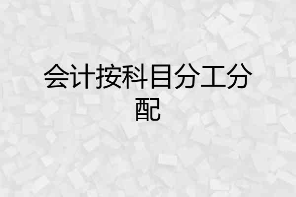 会计按科目分工分配