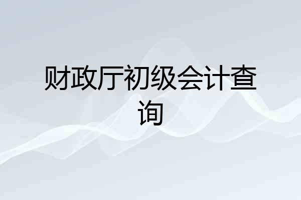 财政厅初级会计查询