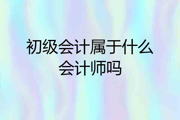 初级会计属于什么会计师吗