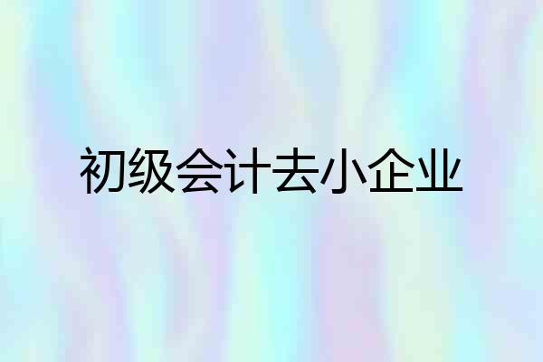 初级会计去小企业
