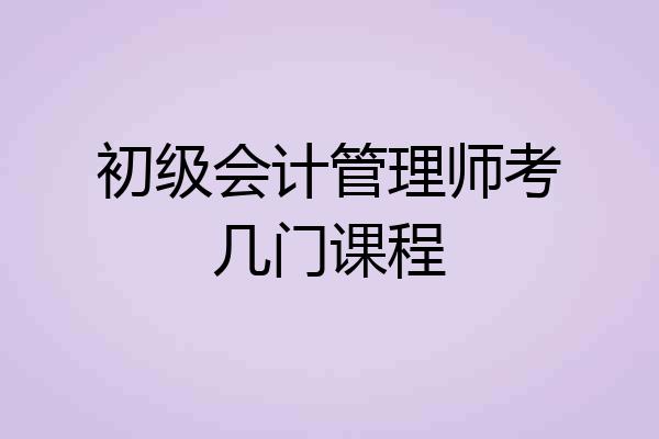 初级会计管理师考几门课程