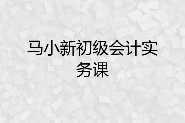 马小新初级会计实务课