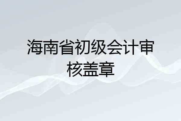 海南省初级会计审核盖章