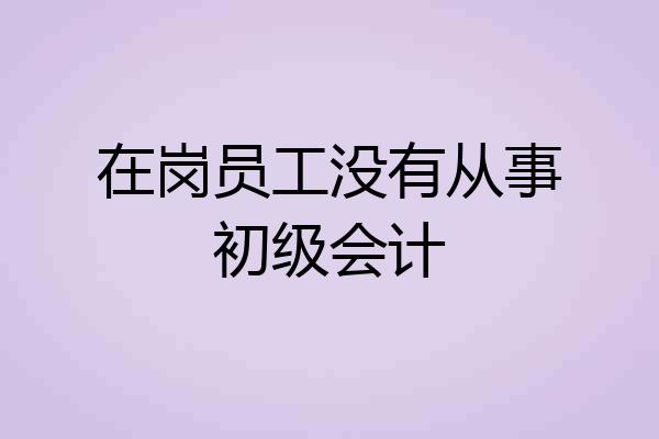 在岗员工没有从事初级会计