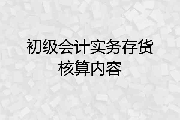 初级会计实务存货核算内容