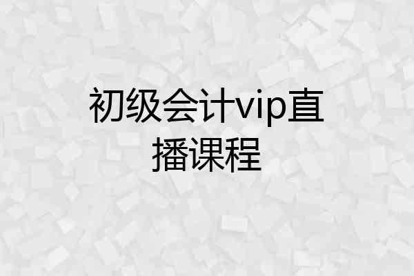 初级会计vip直播课程