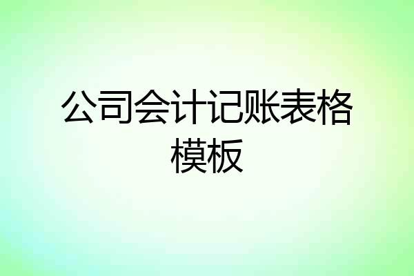 公司会计记账表格模板